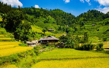 Ruộng bậc thang miền núi phía Bắc đẹp hùng vĩ, nơi người Tày làm du lịch