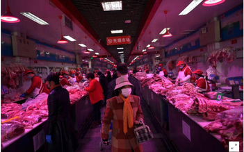 Trung Quốc bị áp lực thiếu thịt heo trầm trọng từ quý 2