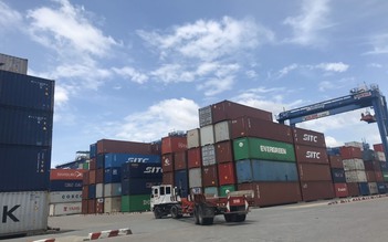 Bán đấu giá gần 300 vỏ container rỗng