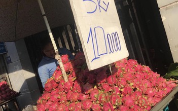 Hơn 3.000 đồng/kg thanh long, dân tranh thủ mua về cho gà ăn