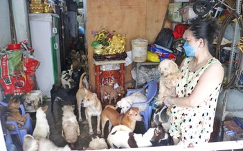 Nuôi hơn 100 con chó giữa Sài Gòn: Tình thương nhưng hàng xóm chịu không thấu, chính quyền nói gì?