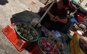 Bình Thuận: Dùng hóa chất 'hô biến' thịt heo nái thành… thịt bò