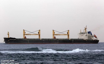 Bình Thuận: Lên phương án cho tàu chở than từ Indonesia nhập cảng Vĩnh Tân 4
