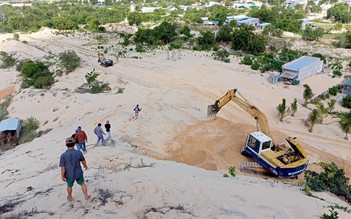 Phan Thiết: Nhóm 'người lạ' đến Mũi Né chiếm đất, trồng dừa bất chấp Chỉ thị 16