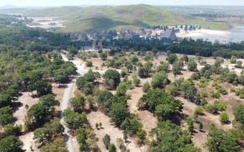 Bình Thuận: Công ty Rạng Đông biến dự án rừng dầu Hồng Liêm thành khu du lịch sinh thái 'chui'