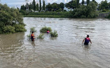 Bình Thuận: 2 em nhỏ chết đuối ở ao nước tưới thanh long, 1 em mất tích