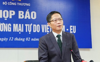 Chúng ta không thể có được EVFTA và EVIPA chỉ bằng hứa suông và ngụy biện