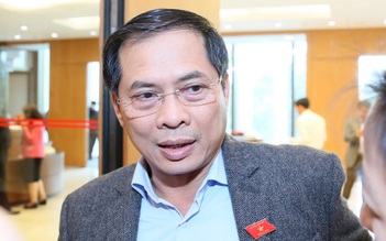 Thứ trưởng Ngoại giao Bùi Thanh Sơn được đồng ý giới thiệu ứng cử đại biểu Quốc hội