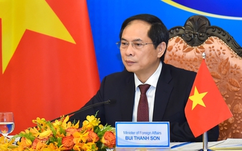 Việt Nam đề xuất chuyển giao công nghệ vắc xin tại hội nghị Mê Kông - Mỹ