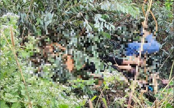 Bình Dương: Công an điều tra vụ 2 thanh niên tử vong cạnh bụi cây bên đường
