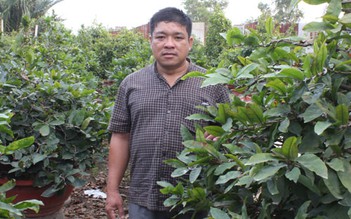 Tỉ phú nông dân Sài Gòn - Kỳ 6: Ông chủ của ngàn gốc mai