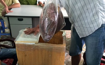 Cựu bảo vệ dân phố ngụy trang 1 kg ma túy trong thùng mắm