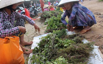 Tết Đoan Ngọ: Mùng 5 đi chợ mua lá, về phơi lấy 'ngọ'