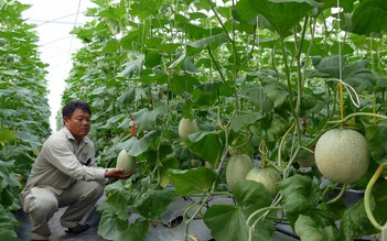 Vốn ưu đãi 'chảy' vào nông nghiệp