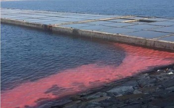 Dải nước màu đỏ ở Hà Tĩnh 'không có gì bất thường'