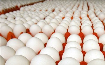 Công bố hạn ngạch nhập khẩu trứng gia cầm trong Liên minh Kinh tế Á - Âu