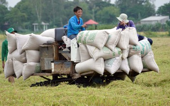 Quyết liệt tổ chức sản xuất theo chuỗi