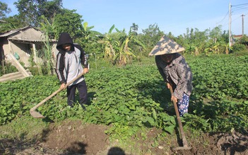 Nỗi lo của một học sinh được tuyển thẳng vào 5 trường đại học