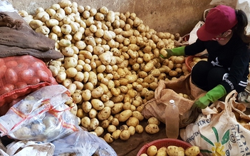 Còn 120 tấn khoai tây Trung Quốc tại chợ nông sản Đà Lạt