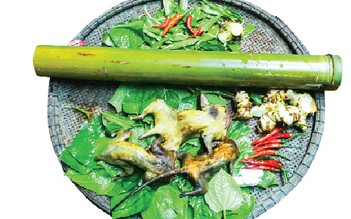 Đệ nhất món ngon của người Tà Ôi: chuột rừng nướng ống nứa