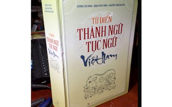 Từ điển thành ngữ tục ngữ Việt Nam đạo văn