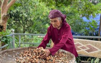 Mẹ Việt Nam anh hùng 102 tuổi vẫn chữa bệnh, cứu người