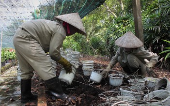 Bữa ăn của thú ở Thảo cầm viên Sài Gòn được lấy từ trang trại khổng lồ