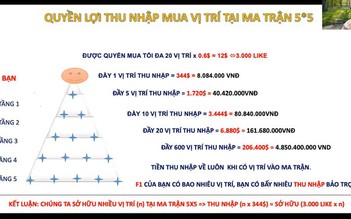 TP.HCM lập đoàn kiểm tra 'đường dây' có dấu hiệu kinh doanh đa cấp không phép