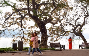 Yêu chàng trai Hà Nội