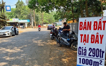 'Loạn' đề xuất sân bay