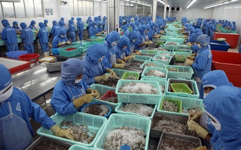 Thúc đẩy EC sớm gỡ bỏ 'thẻ vàng' với thủy sản Việt Nam