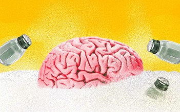 Mạch máu não ở người quen ăn mặn có biểu hiện này