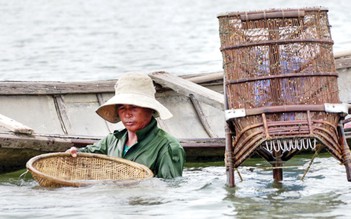 Đời don ở cuối sông Trà