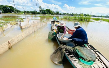 Dân miền Tây 'ngóng' lũ