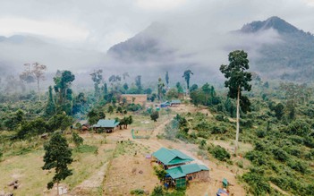 Người mang họ Hồ: Dựng những miền 'đất hứa'