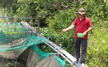 Giàu lên từ quỹ hỗ trợ cộng đồng