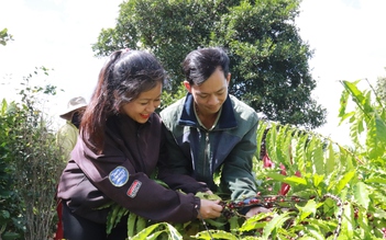 Quả ngọt từ “vùng đất chết”