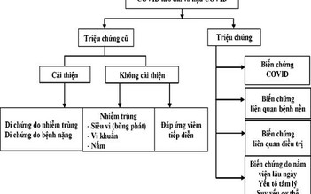 Điều trị xơ phổi ở bệnh nhân hậu Covid-19