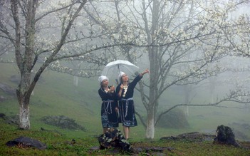 Dân quê mê làm du lịch: Sống ở miền quê đáng sống