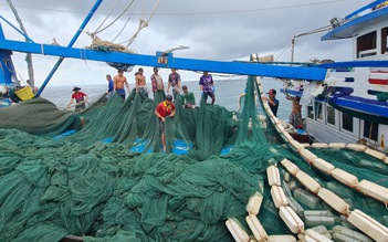 Thiếu trầm trọng lao động đi biển: Nhiều chủ tàu lao đao