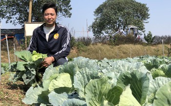 Chàng trai “càng khởi nghiệp càng nghèo” tìm được hướng đi mới