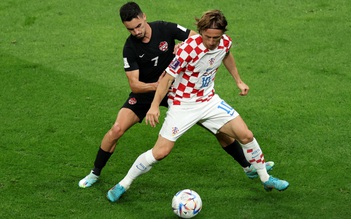 Dự đoán tỷ số tuyển Croatia vs Bỉ, Canada vs Ma Rốc, World Cup 2022 hôm nay