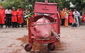 Lễ hội chém lợn ở Việt Nam, Đài Loan gây phẫn nộ