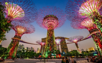Bí kíp vi vu Singapore mà có thể travel blogger cũng chưa biết