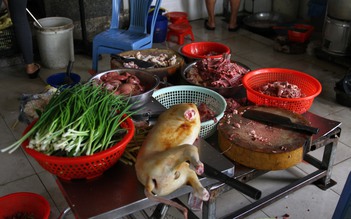 Quận 1 kiểm tra phố thịt cầy nổi tiếng trên đường Cống Quỳnh