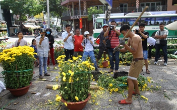 Tết Canh Tý 2020: Lại tái diễn cảnh đập bỏ hoa ngày 30 tháng chạp