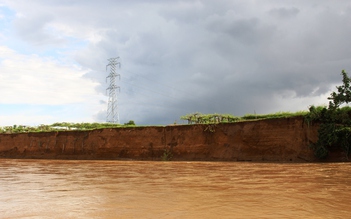 Ninh Thuận: Sông Dinh bị sạt lở nghiêm trọng