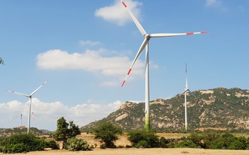 Nhà máy điện gió Mũi Dinh hòa lưới điện quốc gia