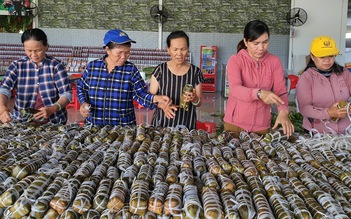 Hơn 2.500 đòn bánh tét từ Ninh Thuận gửi về miền Trung bão lũ