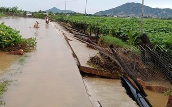 Ninh Thuận: Tìm thấy thi thể nạn nhân sau 3 ngày bị nước lũ cuốn trôi